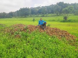  Agricultural Land for Sale in Deori, Sagar