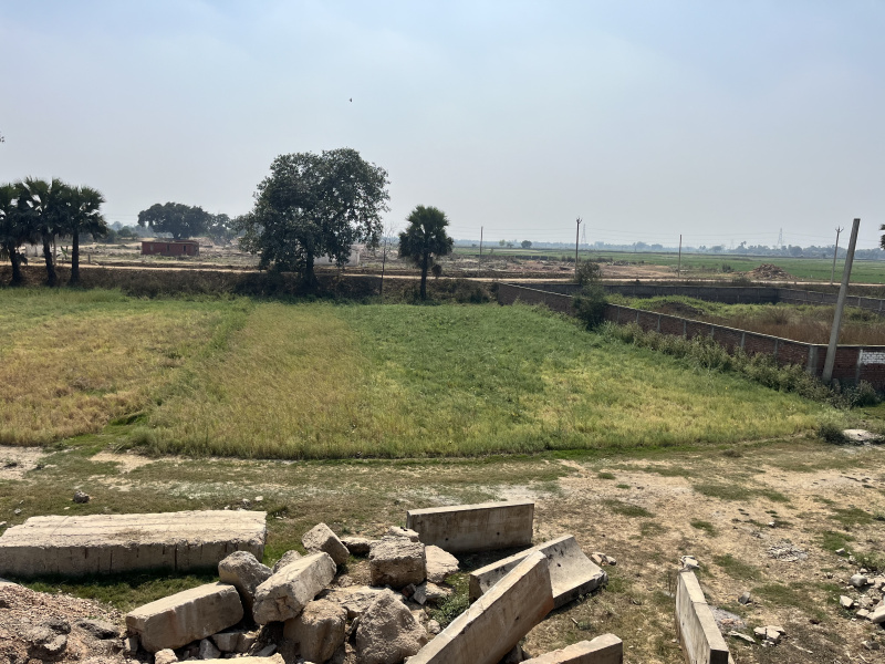  Agricultural Land 13610 Sq.ft. for Sale in Beldari Chak, Patna