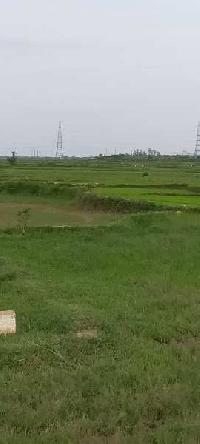  Agricultural Land for Sale in Balugaon, Khordha