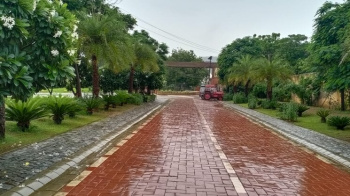  Residential Plot for Sale in Sector 33 Gurgaon