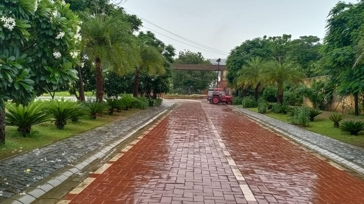  360 Sq. Yards Residential Plot for Sale in Sector 33 Gurgaon