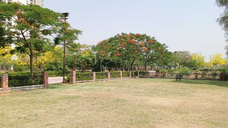  60 Sq. Yards Residential Plot for Sale in Sector 49 Gurgaon
