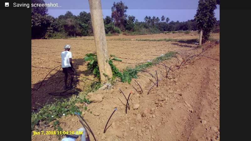  Agricultural Land 5 Acre for Sale in chitvel Mandal Cuddapah