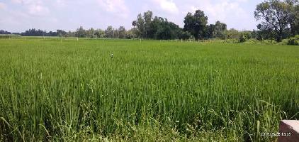  Agricultural Land for Sale in Hasanganj, Unnao