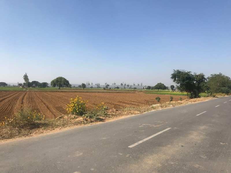 Agricultural Land 304920 Sq.ft. for Sale in Tosham, Bhiwani