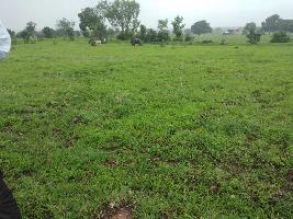  Agricultural Land for Sale in Sanwer Road, Indore