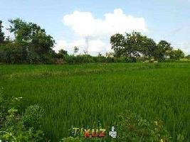  Agricultural Land for Sale in Mangalagiri, Vijayawada