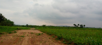  Residential Plot for Sale in Silvarpatti, Dindigul
