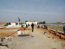  Residential Plot for Sale in Bhoor Colony, Faridabad