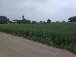  Residential Plot for Sale in Mullanpur Garibdass, Mohali