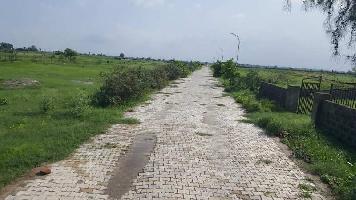  Residential Plot for Sale in Tappal, Aligarh