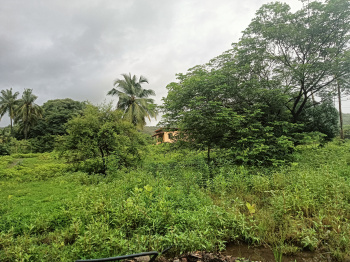  Residential Plot for Sale in Kashid, Raigad
