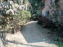  Residential Plot for Sale in Revdanda, Alibag, Raigad