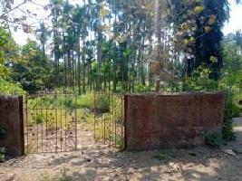  Residential Plot for Sale in Murud, Raigad