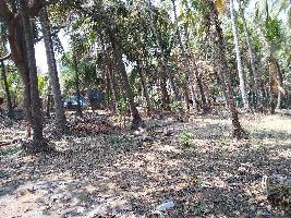  Residential Plot for Sale in Alibag, Raigad