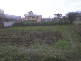  Residential Plot for Sale in Haridwar-Dehradun Road