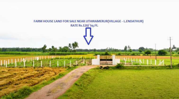  Agricultural Land 20000 Sq.ft. for Sale in Chengalpet, Chennai