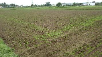  Agricultural Land for Sale in Sriperumbudur, Chennai