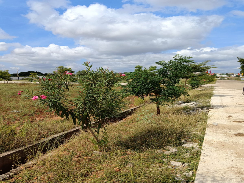  Residential Plot 1500 Sq.ft. for Sale in B Thandrapadu, Kurnool