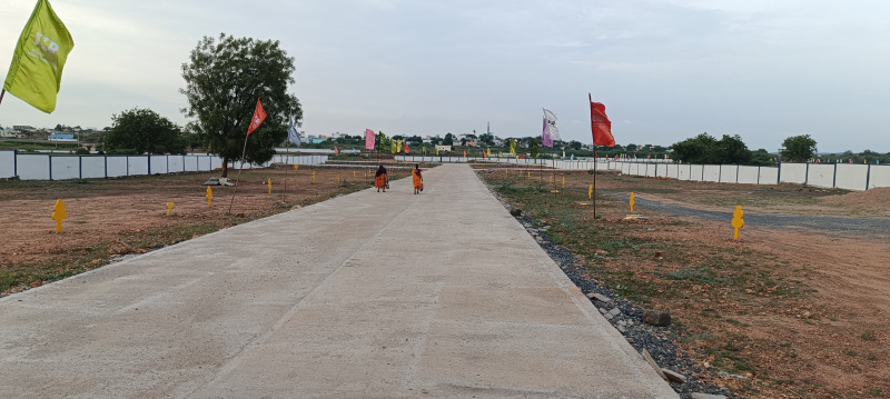  Residential Plot 3 Cent for Sale in B Thandrapadu, Kurnool