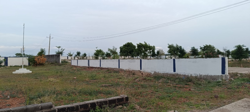  1500 Sq.ft. Residential Plot for Sale in B Thandrapadu, Kurnool