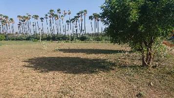  Agricultural Land for Sale in Tiruchengode, Namakkal