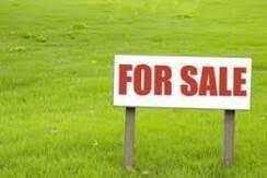  Residential Plot for Sale in Banaur, Patiala