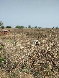  Agricultural Land for Sale in Khurai, Sagar