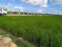  Agricultural Land for Sale in Sunguvarchatram, Kanchipuram
