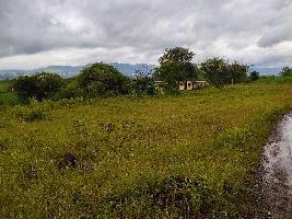 Agricultural Land for Sale in Phaltan, Satara