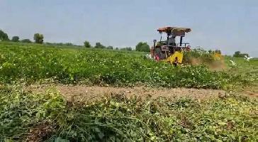  Agricultural Land for Sale in Jamsar, Bikaner