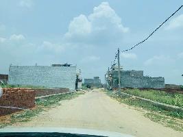  Residential Plot for Sale in Gomti Nagar Extension, Lucknow