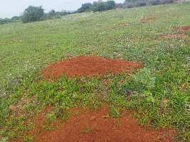  Agricultural Land for Sale in Kadiri, Anantapur