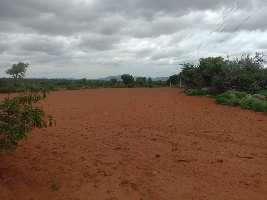 Agricultural Land for Sale in Bagepalli, ChikBallapur