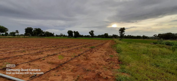  Agricultural Land for Sale in Bagepalli, ChikBallapur