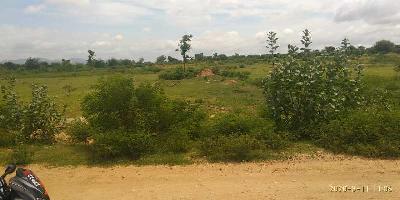  Agricultural Land for Sale in Beechaganahalli, ChikBallapur