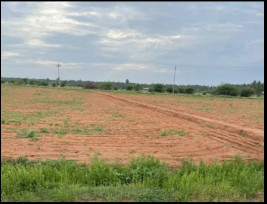 Agricultural Land 72 Acre for Sale in Udumalaipettai, Tirupur