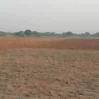  Agricultural Land for Rent in Dudu, Jaipur