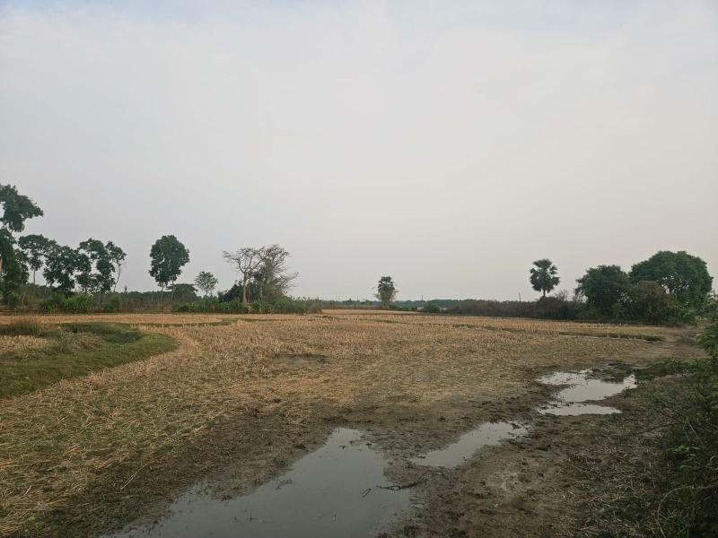  69 Dismil Residential Plot for Sale in Khantapara, Baleswar