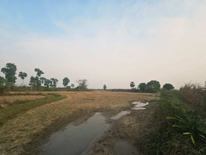  69 Dismil Residential Plot for Sale in Khantapara, Baleswar