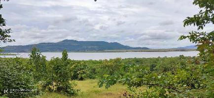  Agricultural Land for Sale in Roha Ashtami, Raigad