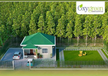  Agricultural Land for Sale in Butibori, Nagpur