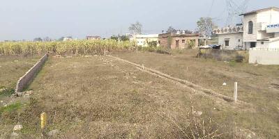  Commercial Land for Sale in Doiwala, Dehradun