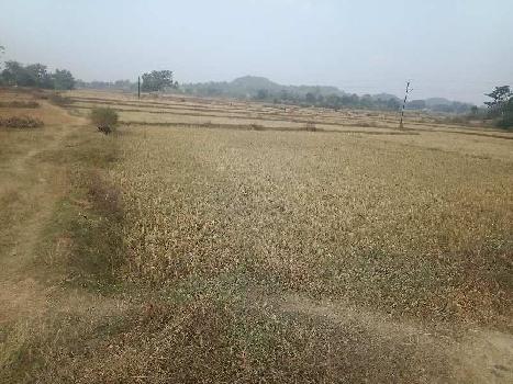 Residential Plot / Land for sale in Ranchi Ring Road area, Ranchi  (P39446408) - PropertyWala.com
