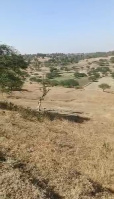 Agricultural Land for Sale in Igatpuri, Nashik