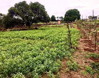 Agricultural/Farm Land for Sale in Magadi Road, Bangalore ...