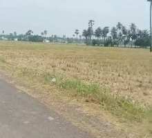  Agricultural Land for Sale in Tanuku, West Godavari