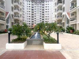 3 BHK Flat for Rent in Bannerghatta, Bangalore