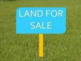  Residential Plot for Sale in Kammanahalli, Bangalore