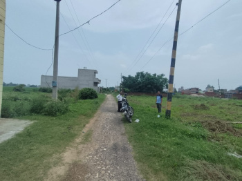  Residential Plot for Sale in Nakodar, Jalandhar